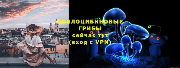 скорость Богородицк