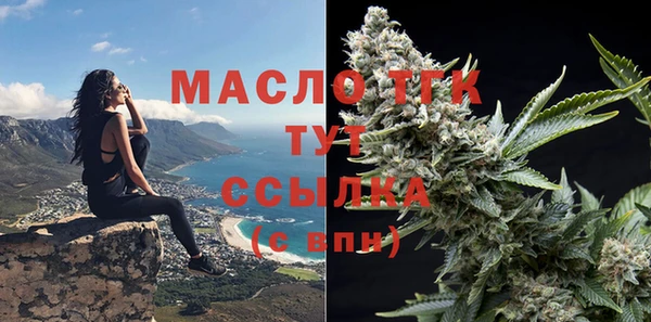 гашик Нея