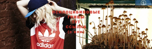 марки nbome Богданович