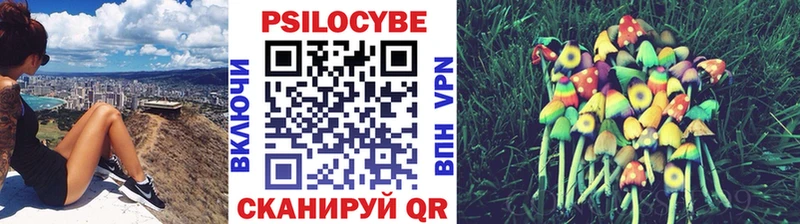 Псилоцибиновые грибы Psilocybine cubensis Балахна